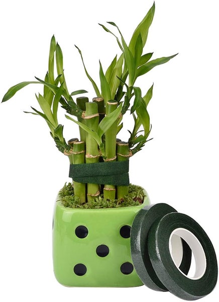 3 Rolls Florist Tape, Self Adhesive Floral Tapes, Floratape For Bouquet, Flower Carousel 4