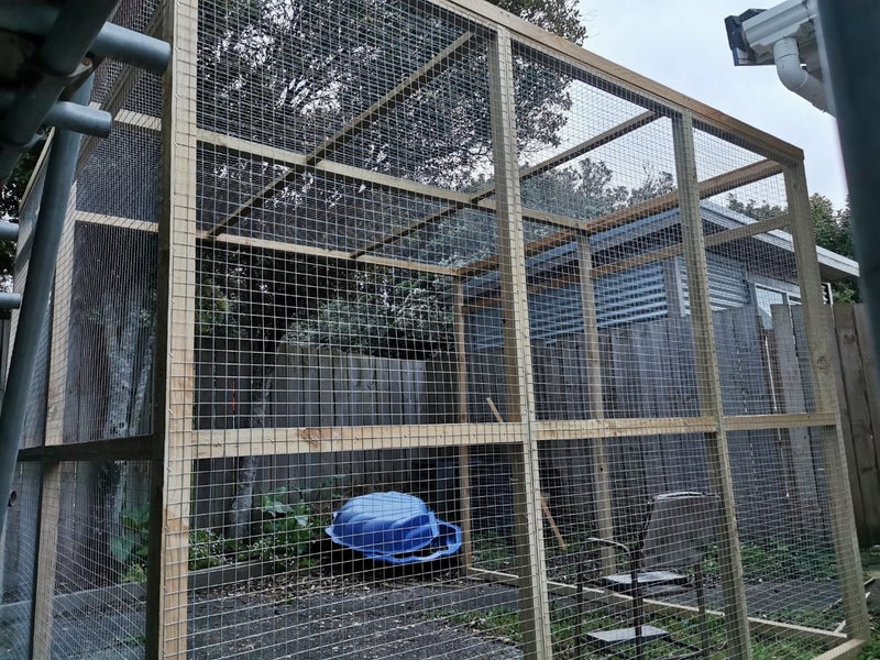 Catio---NZ Made Carousel 7