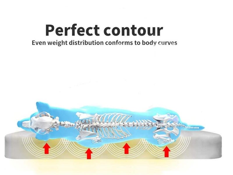 Pet Bed Carousel 1