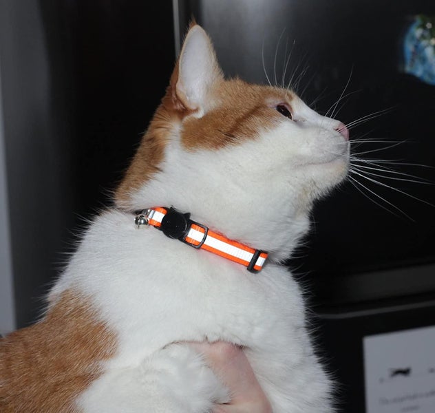 ]upgraded Version - Reflective Cat Collar With Bell, Set Of 6, Solid & Safe Coll Carousel 2
