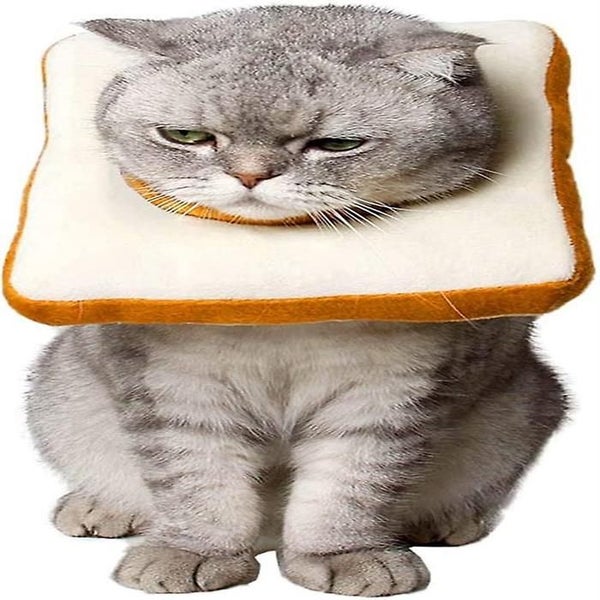Adjustable Cat E-collar, Cute Toast Neck Cone After Surgery, Wound Healing Prote Carousel 1