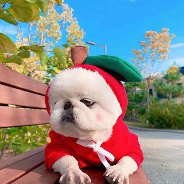 Pet Clothes Dogs Hoodie Sweatshirt - Fruit Shape Cold Weather Clothes Costume Ou Carousel 5
