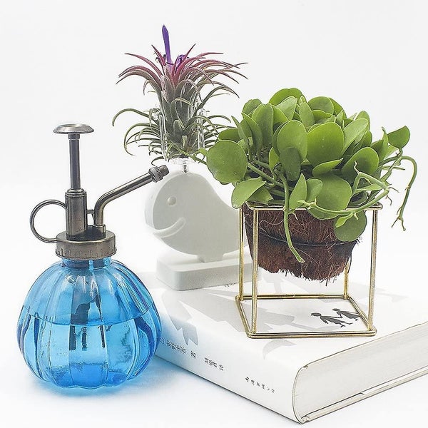 Bran Light Green Glass Spray Bottle Plants, 16 Cm Tall Vintage Style Plant Miste Carousel 5