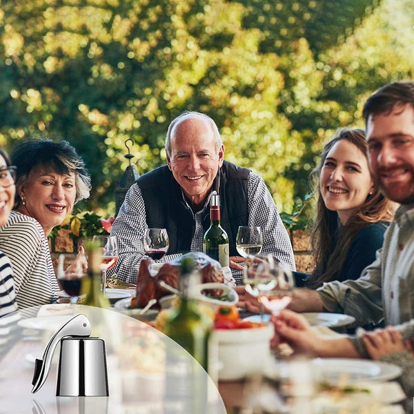 Wine Bottle Stoppers With Corkscrews, Stainless Steel Wine Plug With Silicone, R Carousel 5