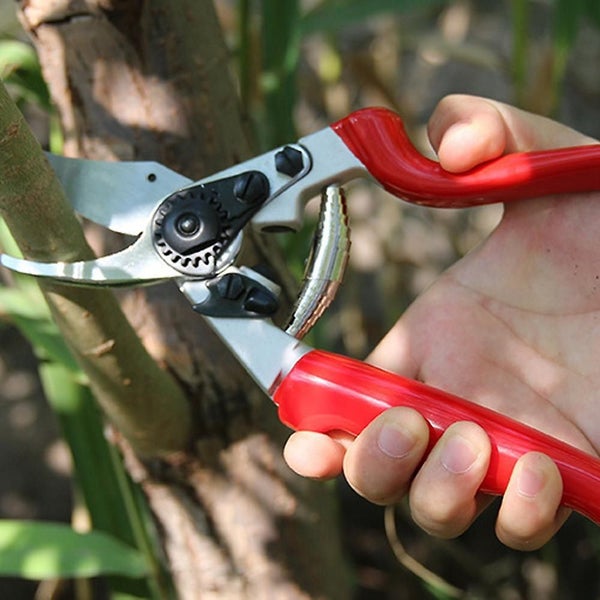 Pruning Shears - Bypass Pruner Garden Shears,tree Trimmerhand Secateurs Ergonomi Carousel 5