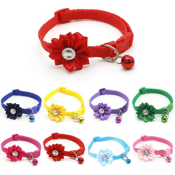 The Power Of An All-in-one Split Cat Collar With Personalized Options Carousel 5