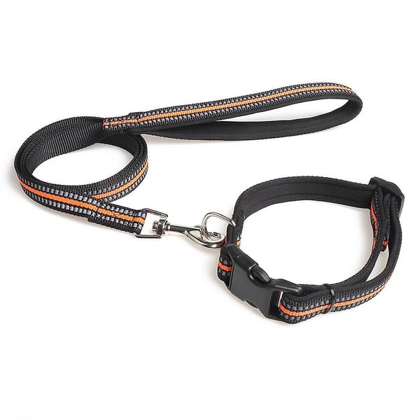 Dog Collar Reflective Soft Comfort Strap Safety Adjustable Waterproof Nylon, Carousel 1