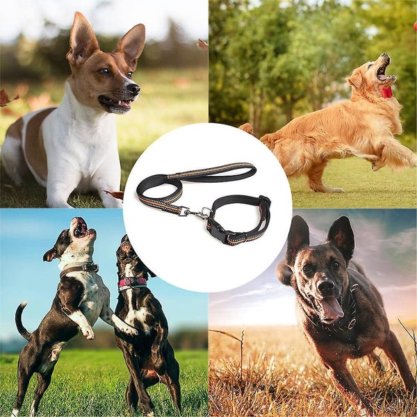 Dog Collar Reflective Soft Comfort Strap Safety Adjustable Waterproof Nylon, Carousel 5