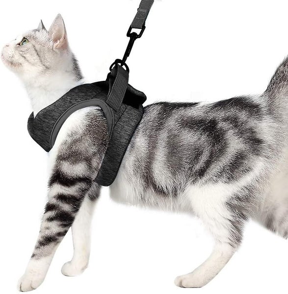 Ultralight Cat Harness And Leash Soft And Comfortable Kitten Collar Running Cat Carousel 1