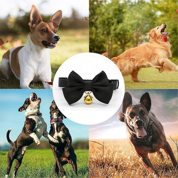 Luxury Handmade Pu Leather Pet Cat Collar Skull Bow Tie Collar Necklace Jewelry Carousel 5