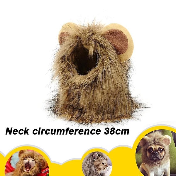 Halloween Costume Small Cats And Kittens For Halloween, Cat Birthday, Cat Cospl Carousel 2