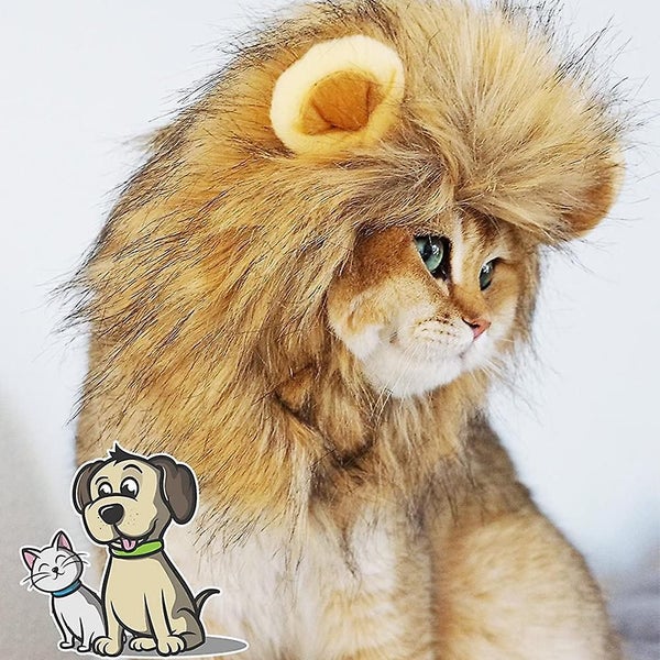 Halloween Costume Small Cats And Kittens For Halloween, Cat Birthday, Cat Cospl Carousel 4