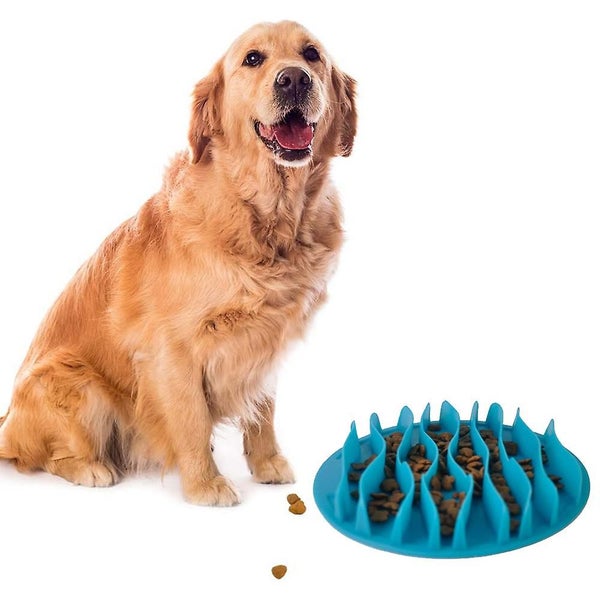 Pet Fun Mat Slow Portable Dog Interactive Feeder Bowl Carousel 1