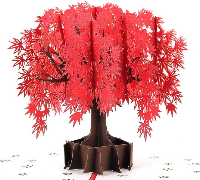 Maple Love Pop Up Card, 3d Popup Greeting Cards, For Anniversary Carousel 1