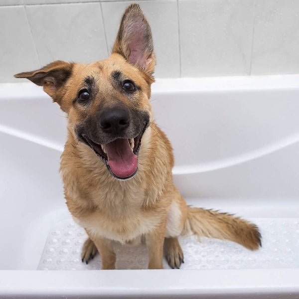 Bathtub Non-slip Mat Extra Long 100 X 40 Cm For Bathtub Transparent Carousel 4