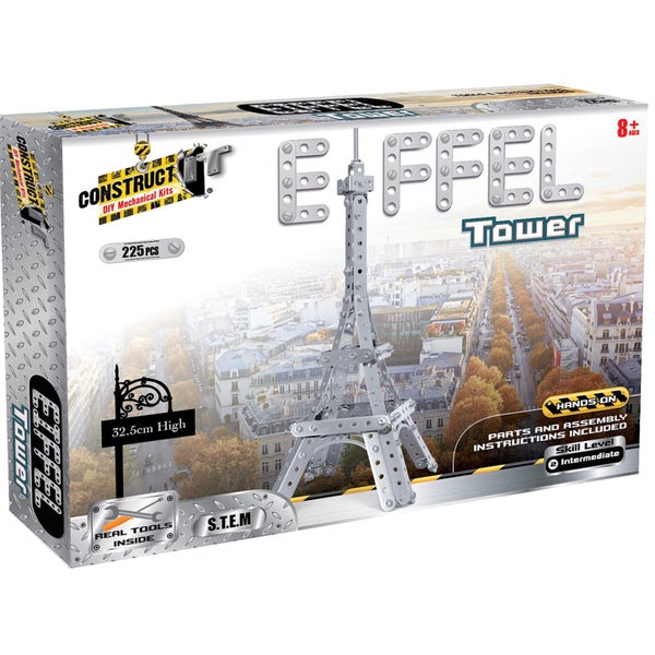 Eiffel Tower by Carousel 1