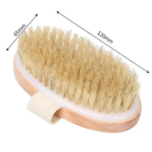 Wet And Dry Body Brush Exfoliator - Soft Bristle Brush ly Exfoliates Dead Carousel 2