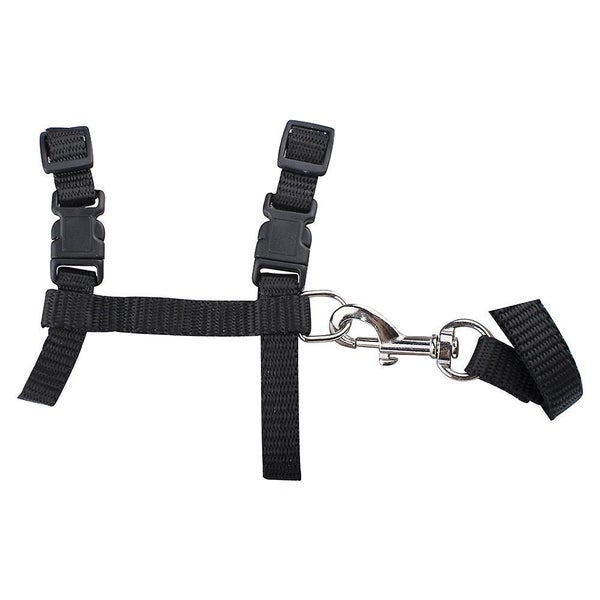 Cat Harness, Adjustable Nylon Strap Collar With Leash, Breakaway Carousel 1