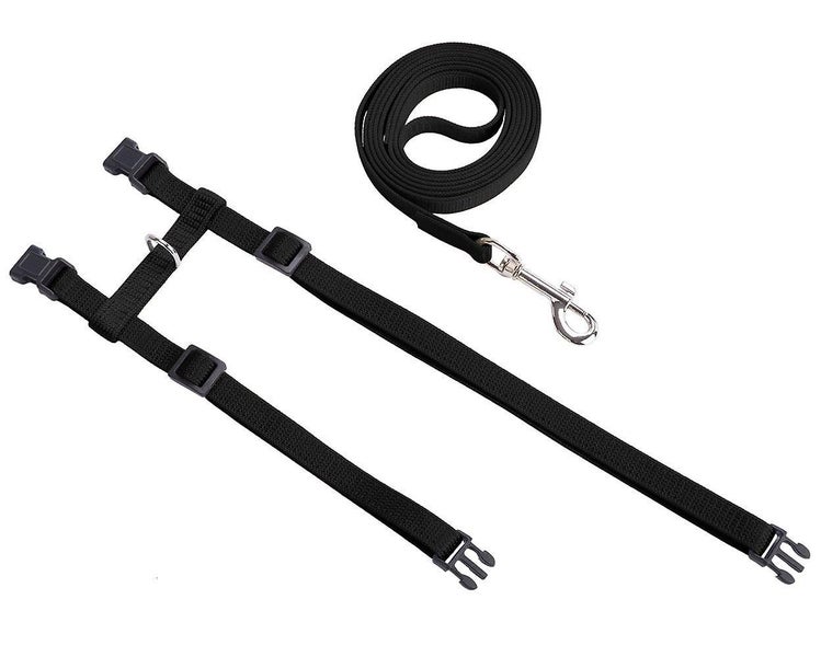 Cat Harness, Adjustable Nylon Strap Collar With Leash, Breakaway Carousel 4
