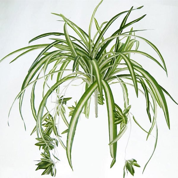 1 Bouquet Large Size Simulatio Chlorophytum Comosumn Plant Wall Decorate Artific Carousel 1