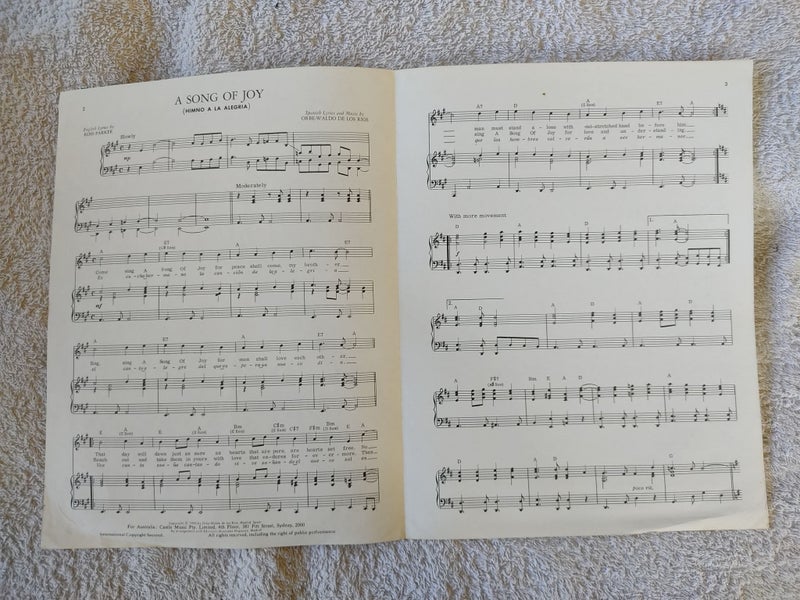 A Song of Joy - Himno a la Alegria Carousel 2