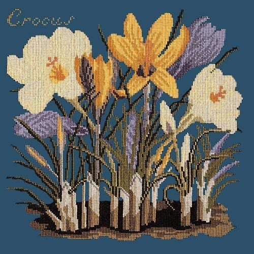Elizabeth Bradley Tapestry Kit - The Crocus (Dark Blue Background Wool) Carousel 1