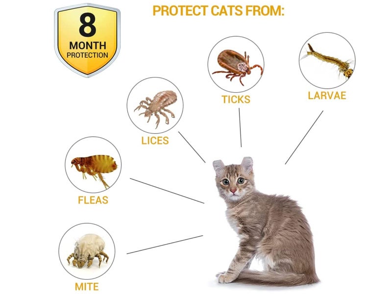 2 PCS Flea and Tick Collar (38cm) for Cat Carousel 2