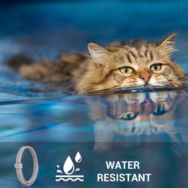 2 PCS Flea and Tick Collar (38cm) for Cat64287885924226113