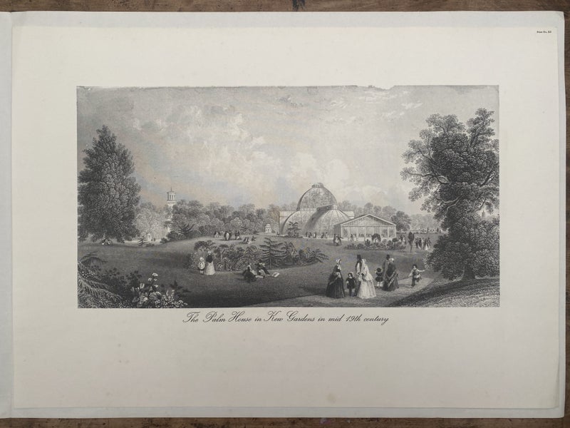 OLD PRINT: The Palm House, Kew Gardens, England - mid 19th century Carousel 1