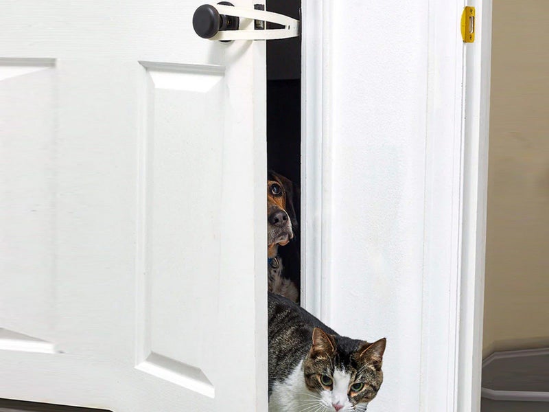 2 X Child Proof Door Lock Cat Door Holder Pet Door Latch Door Latch Strap Carousel 2