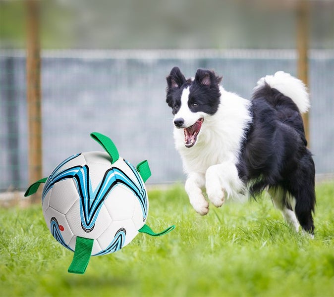 Dog Football New Carousel 1