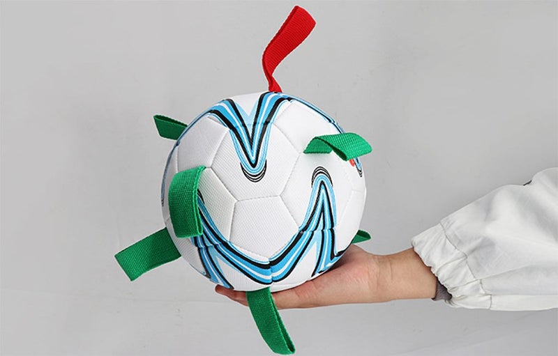 Dog Football New Carousel 2