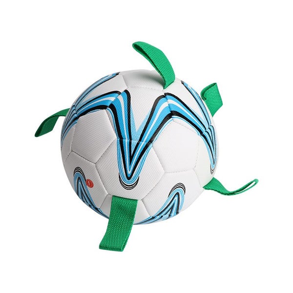 Dog Football New Carousel 5