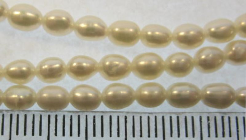 Beads - Pearls (Freshwater) - CREAM Carousel 1