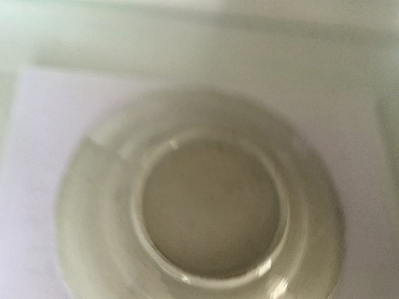 VERY OLD CHINESE PLATE 19th CENTURY = HANDPAINTED = MULTI COLOURS WITH PRAWN & Carousel 9