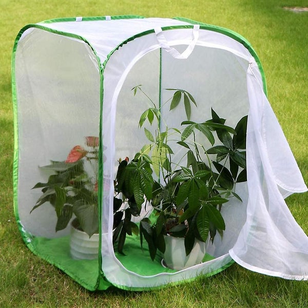 Tall Large Butterfly Habitat Cage Collapsible Terrarium Carousel 4
