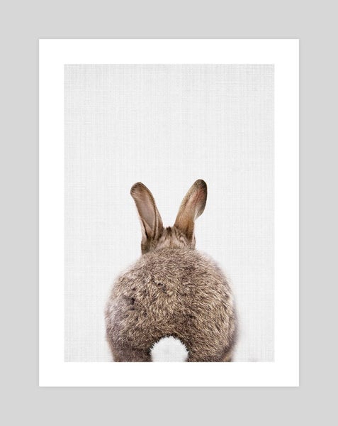 Woodland Bunny Rabbit Tail by Lila & Lola Art Print - A1 Carousel 1