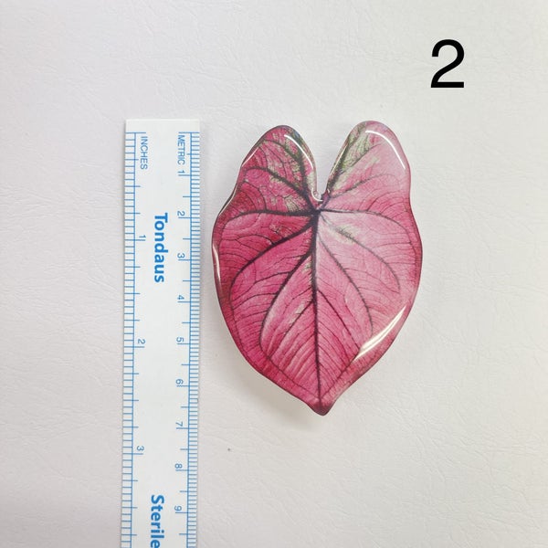 Phone Pop Socket - Phone holder - Plant Leaf - Plant Mom Gift / Christmas gift62935698283905112