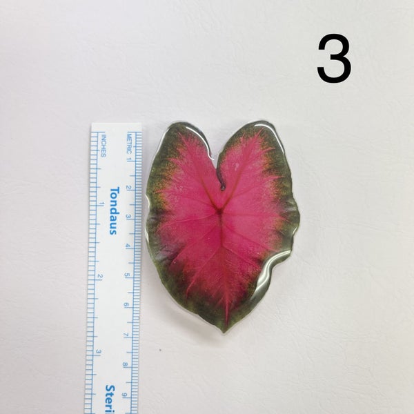 Phone Pop Socket - Phone holder - Plant Leaf - Plant Mom Gift / Christmas gift62935698283905113