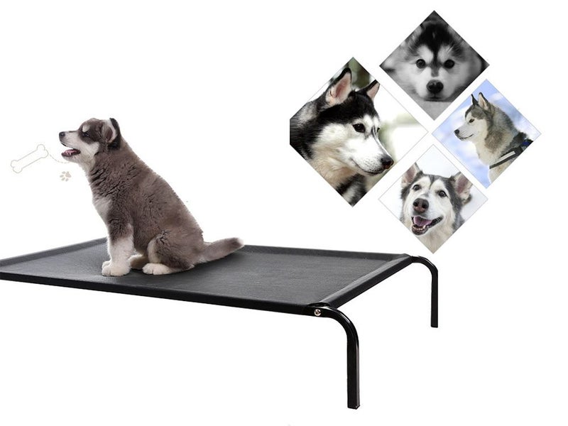 PTN NEW Dog Bed Sale Sale Carousel 6