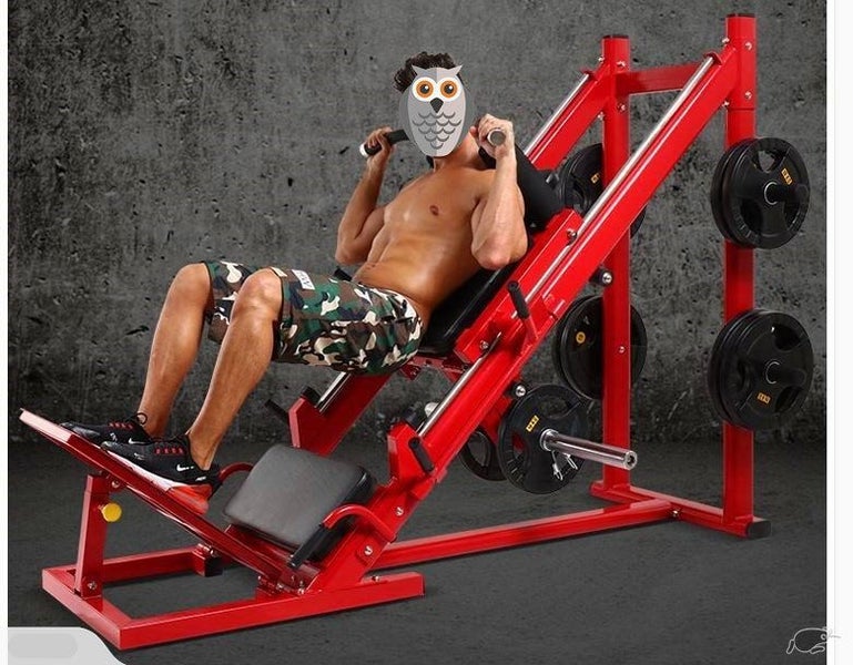 Leg Press Leg Machine 2 In 1 Leg Press Exercise Mac Carousel 17