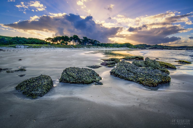 Anchor Bay - Tawharanui (80cm Canvas Print) Carousel 1