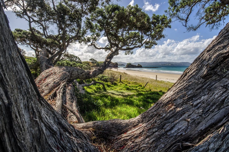 Anchor Bay - Tawharanui, 80cm Canvas Print Carousel 1