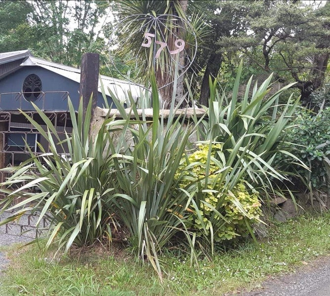 579 Te Akau wharf road , Raglan, Waikato, Waikato