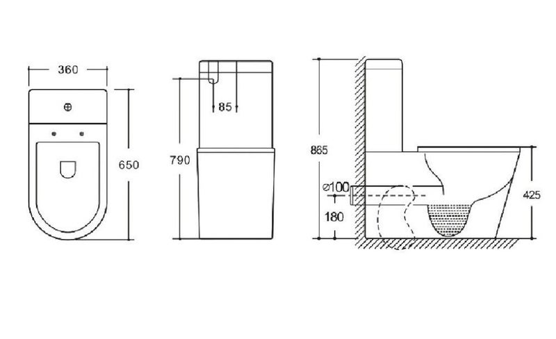 Rimless Flushing + back to wall Toilet Suite Carousel 2