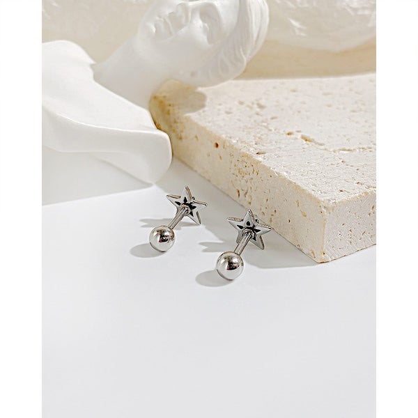 Fashion Star Design Studs Stainless Steel Carousel 6