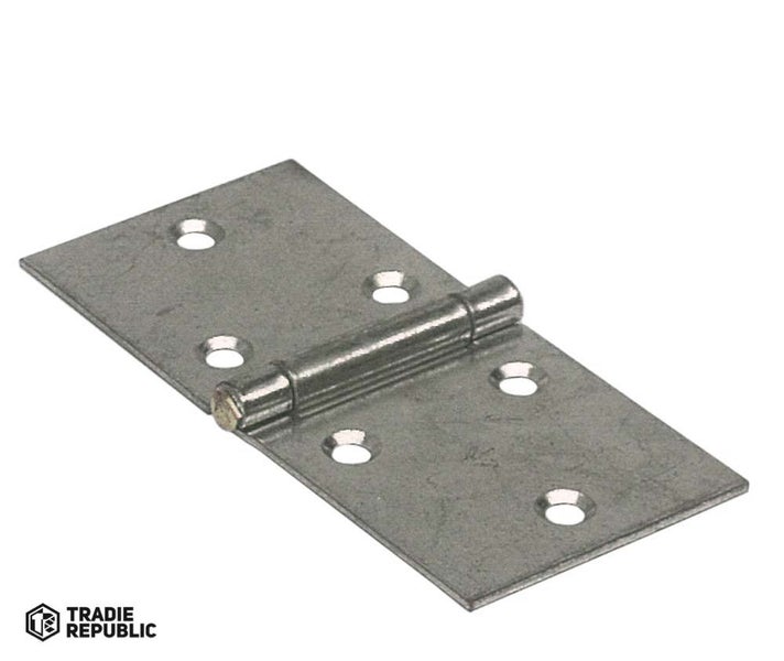 Gartner Butt Hinge Brass Pin 40X45 Carousel 1