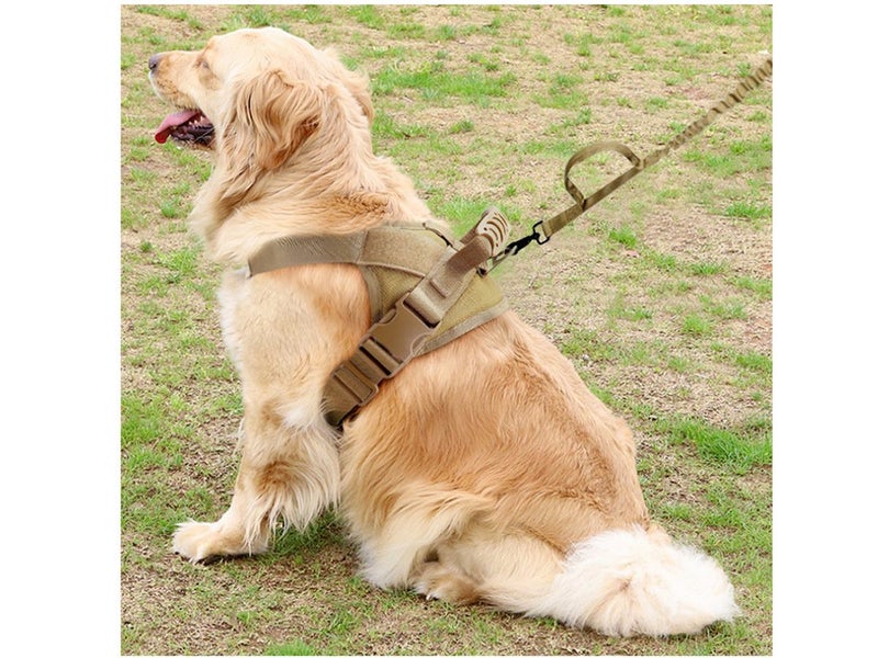 Dog Harness with Handle Carousel 2