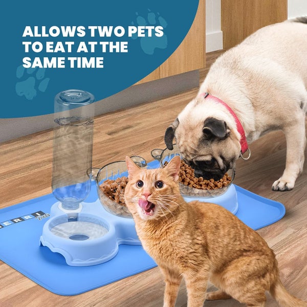 Cat Bowls for Food and Water Set, 3 Bowls Including Gravity Water Bowl Carousel 2