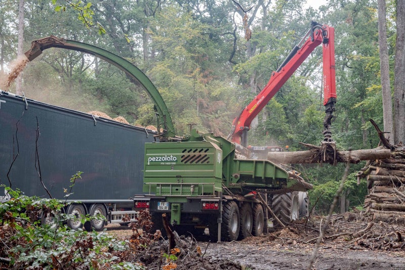 Pezzolato PTH 1400/1000 Drum Chipper Carousel 1